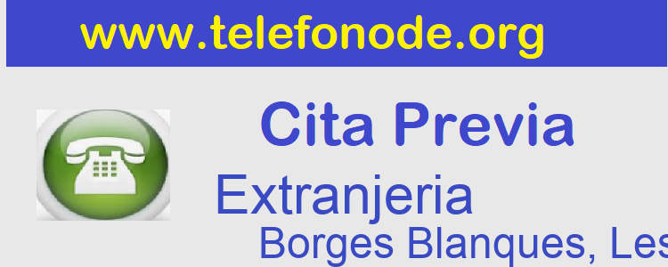 Cita Previa NIe y Huellas Borges Blanques, Les
