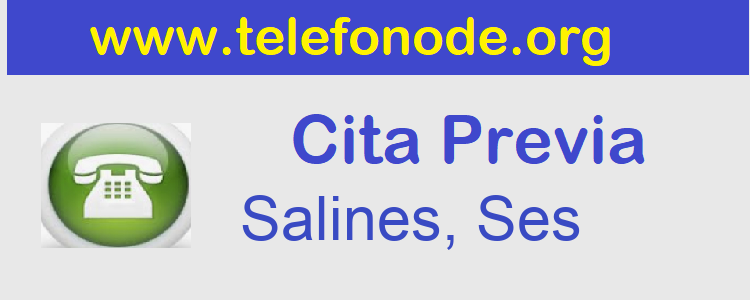 Cita Previa  salines-ses